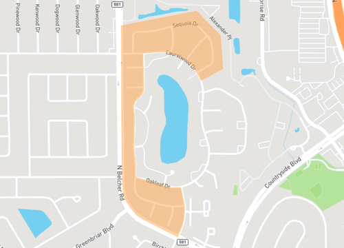 village on the green.png