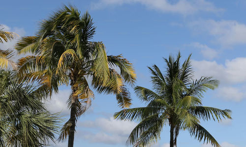 New Mortgage Credit Changes Could Bring More Florida Buyers Into &hellip;