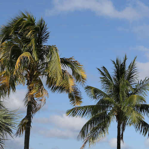 New Mortgage Credit Changes Could Bring More Florida Buyers Into the Market