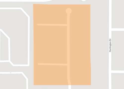 bay palms.png