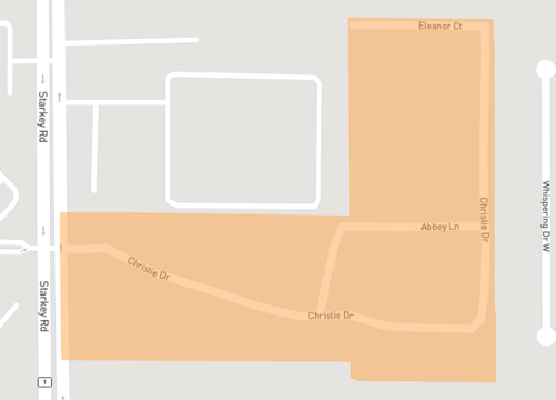 seminole palms.png