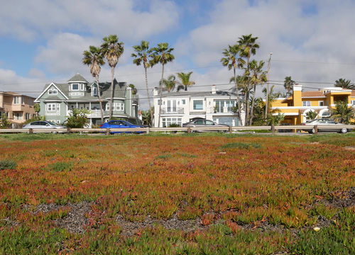 Typical,Suburban,,Tropical,Carlsbad,California,Usa.,Different,Colorful,Houses,Row.