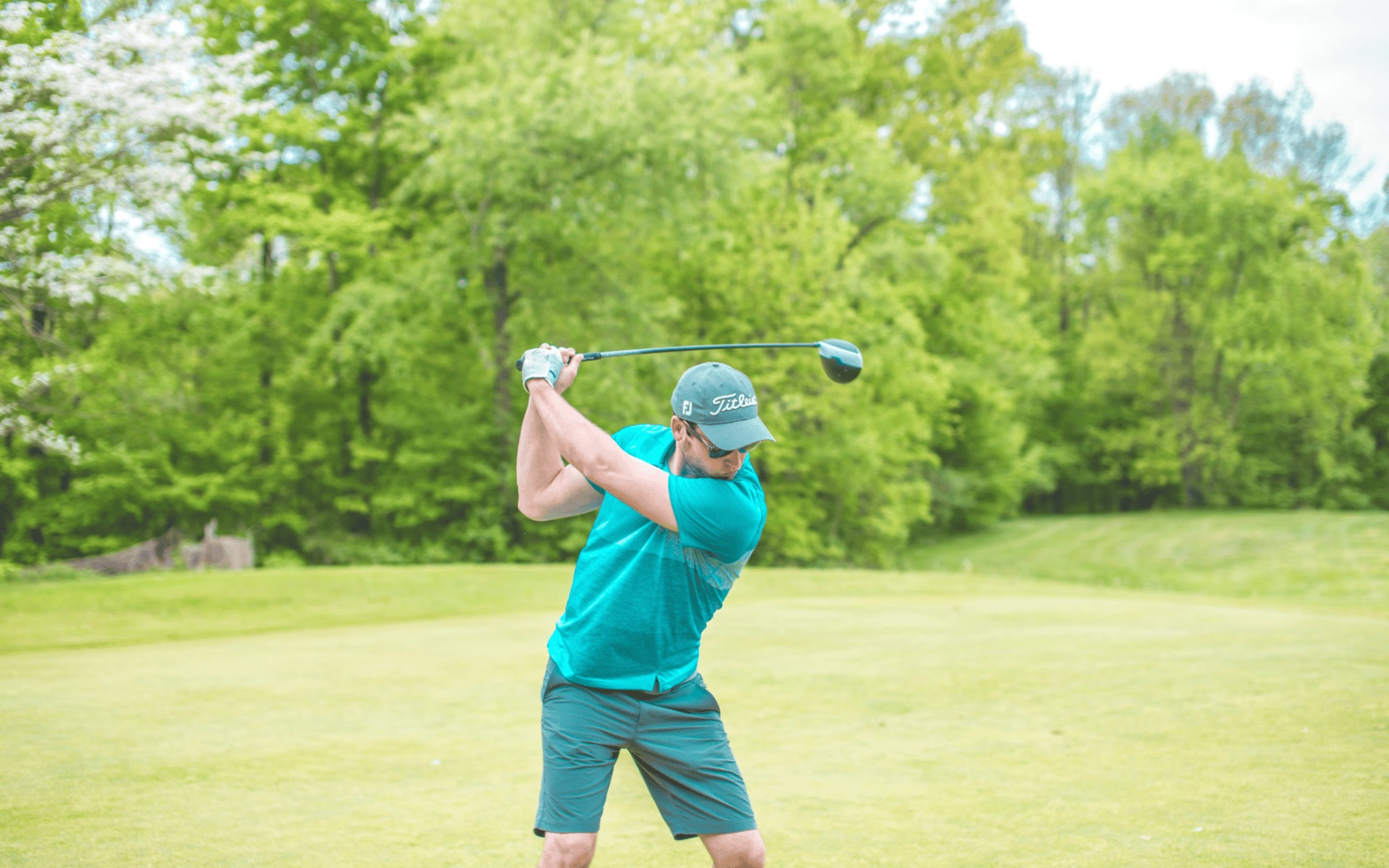 lr3hsph7dmm4ku3yqwq6