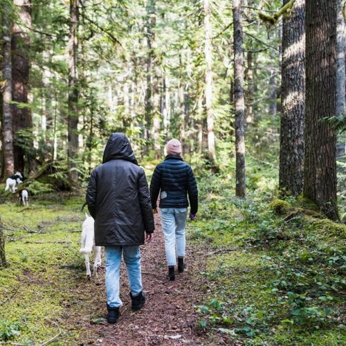 Hiking in Englewood Cliffs, NJ