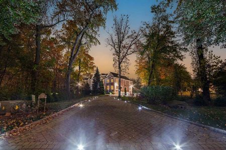 1 alpine 24 tulip tree-49