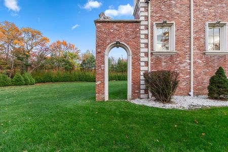 11 alpine 24 tulip tree-29