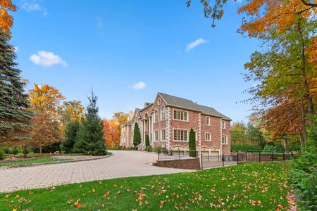 2 4 alpine 24 tulip tree-19