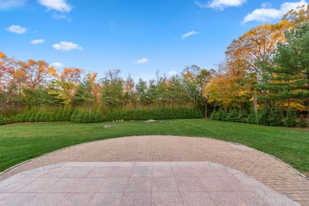 21 alpine 24 tulip tree-32