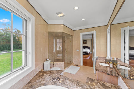 29 alpine 24 tulip tree-87