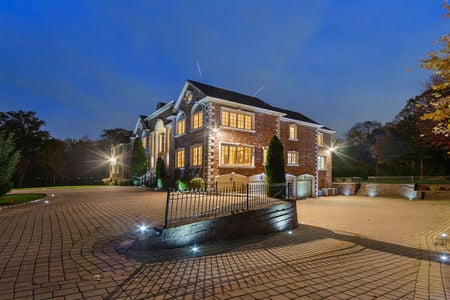 3 alpine 24 tulip tree-48