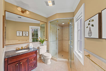 41 alpine 24 tulip tree-108