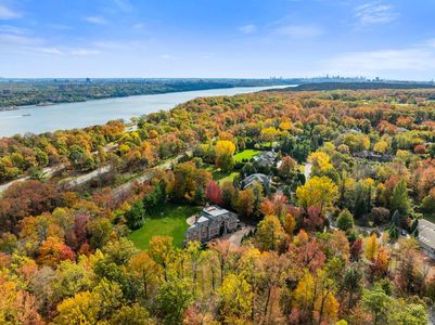 48 Alpine Tulip Tree-11