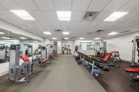 49 gym amenities at the canco lofts in journal square jersey city nj proper