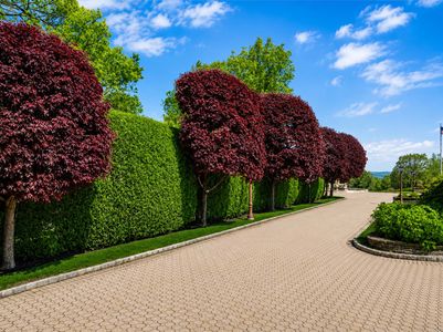 19. Driveway Goals