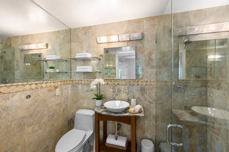 33 290 Dunkerhook Bathroom with stand up shower