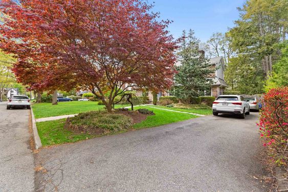 40 Red Maple by driveway