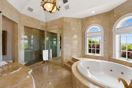 43. Primary Tub View