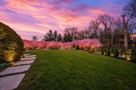 47 back yard cherry blossom