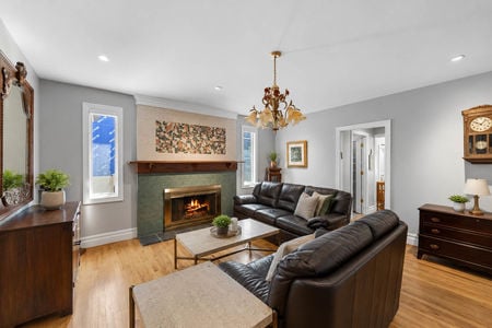 7 290 Dunkerhook Fireplace