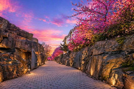 7 The coolest driveway in New Jersey