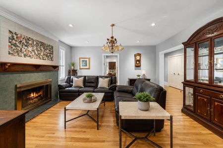 8 290 Dunkerhook Fireplace2