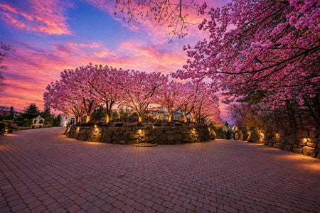 8 Cherry Blossom Driveway