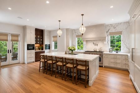 14 548 Sylvan Pl Modern luxury kitchen with marble island