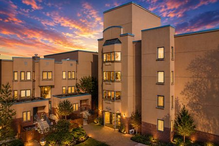 1. 303B Nelson Sunset over modern apartment courtyard