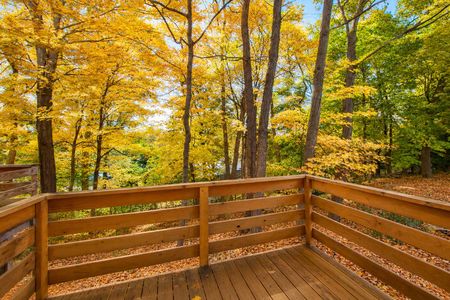 13. 2 Cottage Golden Deck Overlooking Autumn Woods