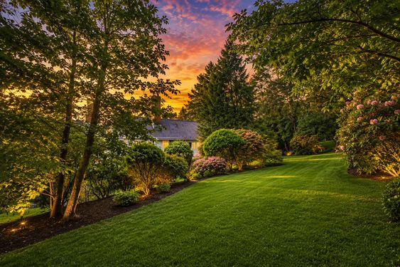 0.5 16 N Brae Golden Hour Garden Retreat