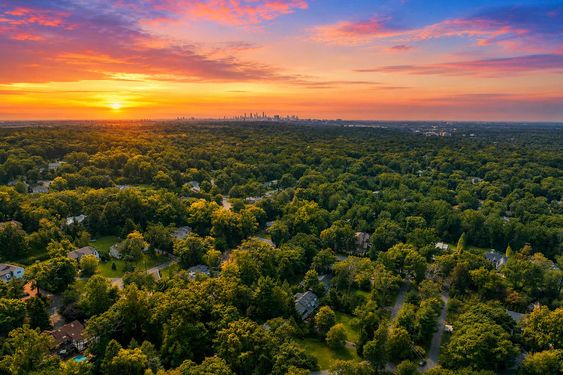 0.70 16 N Brae Sunset Over Suburban Tree Canopy