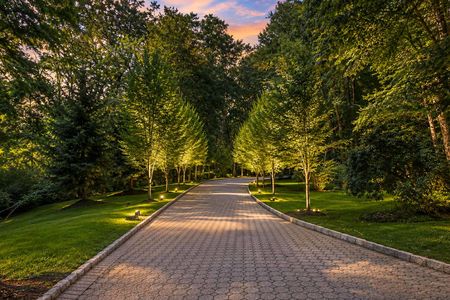 58. 1 Lambs Golden-Hour Garden Driveway