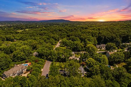 72. 108 Briarwood Sunset Over a Forested Suburb
