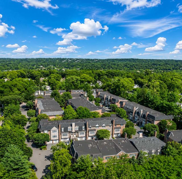 Stonegate Aerial View of Forested Townhomes and Ridge