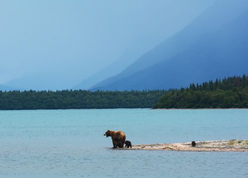 paxson-woelber-8IuAYIIzFMI-unsplash 1