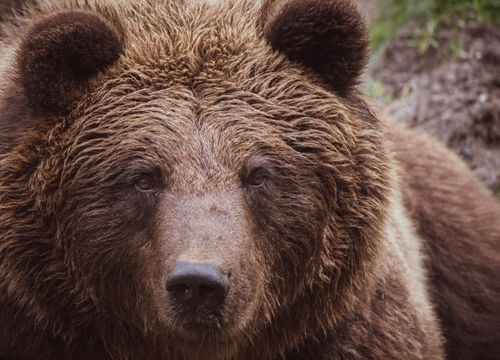 pexels-vincent-ma-janssen-3048722 1-min