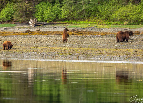 REMOTE RECREATIONAL 1