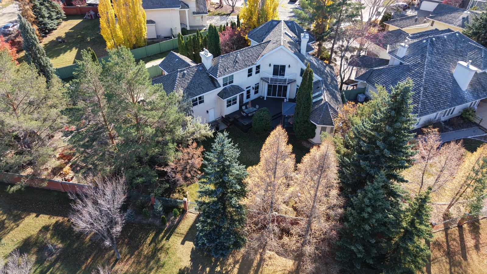 Aerial view over the back garden showing the scale of the treed lot against its neighbours.