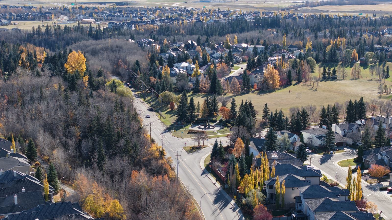 Aerial view of the Wedgwood Creek ravine, a wooded corridor running along the edge of Wedgewood Heights.