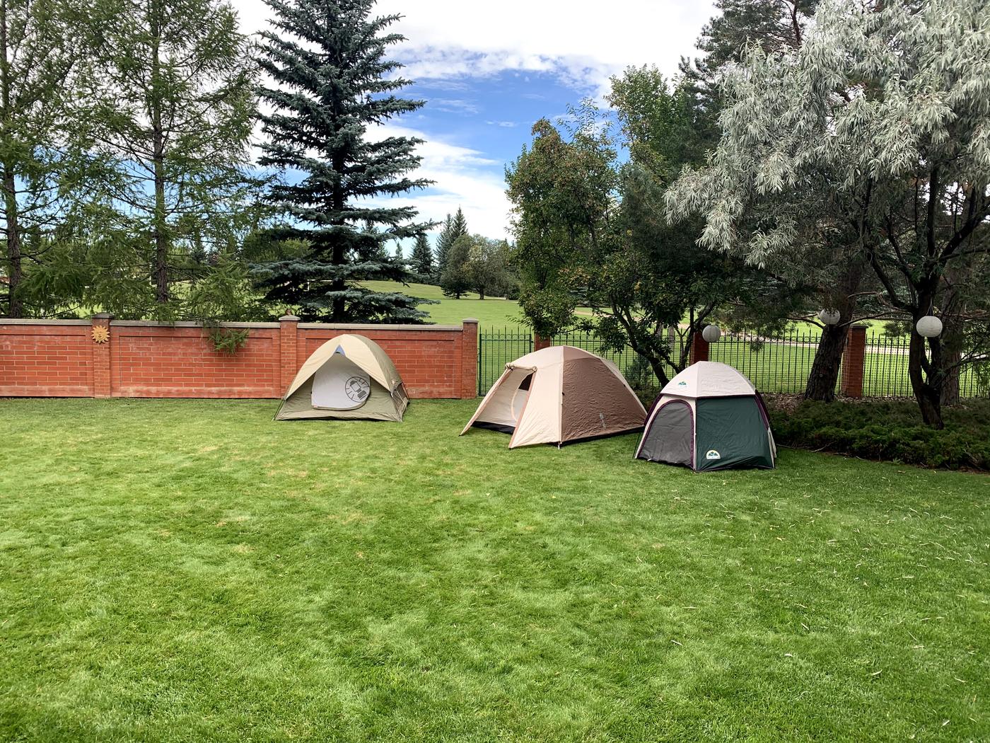 Three tents pitched on the back lawn on a summer evening.
