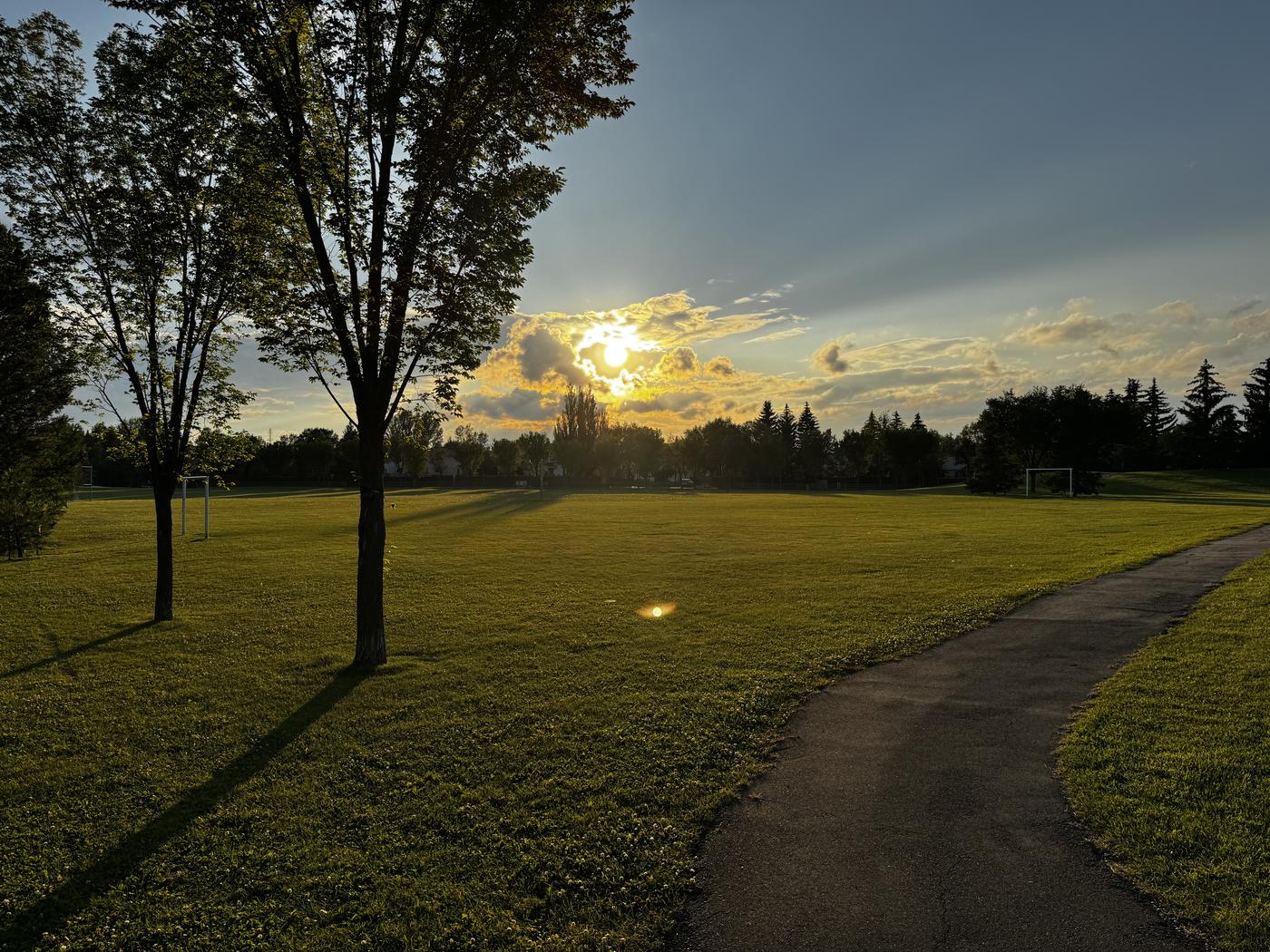 A paved trail curving through open parkland at golden hour, mature trees on both sides.