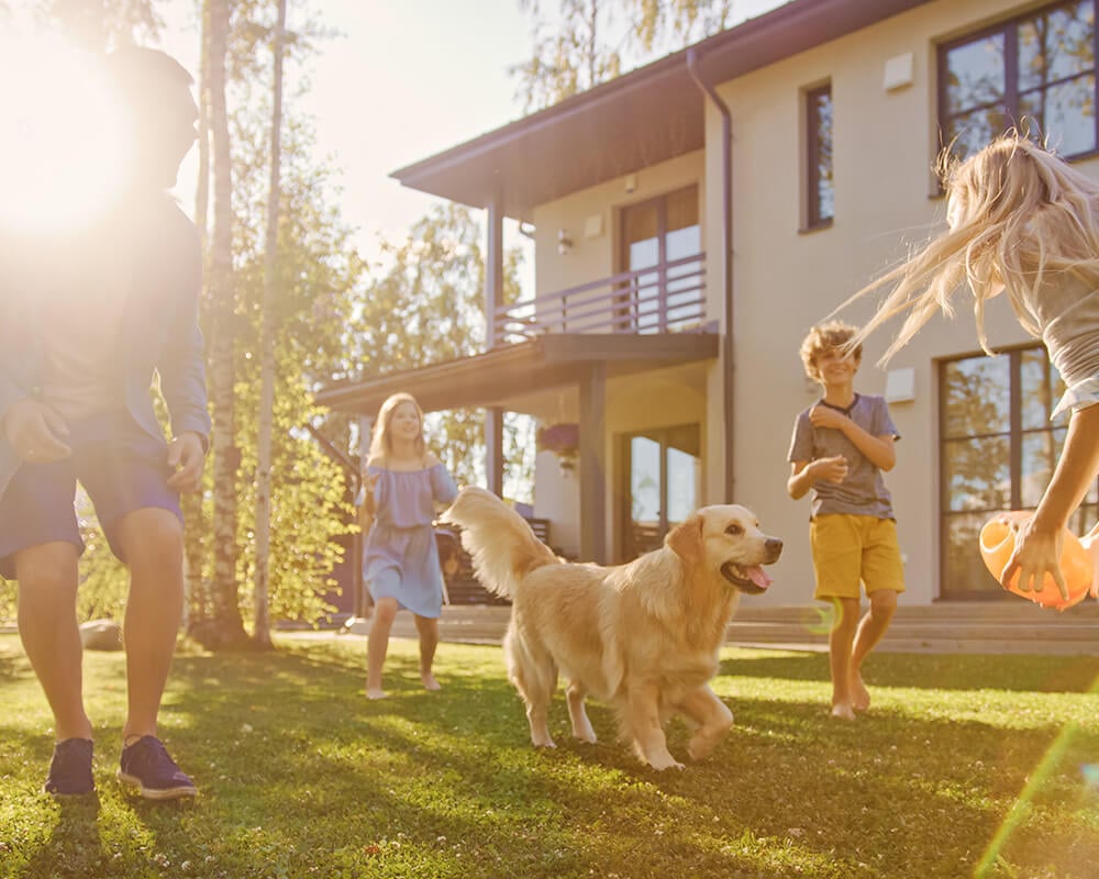 client-testimonial-placeholder-2