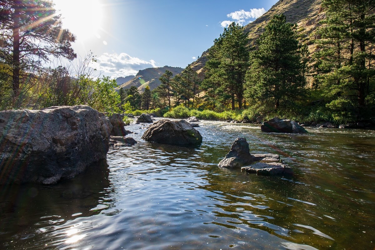 The Poudre River in early summer