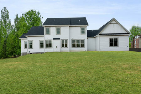 Vineyard Gallery Img (4)