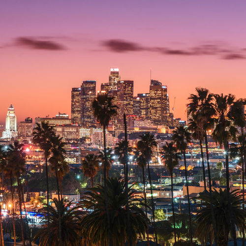 Is FastForward Movement LA Right for You?