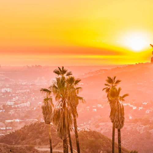 Why Top Agents in LA + OC Are Moving On