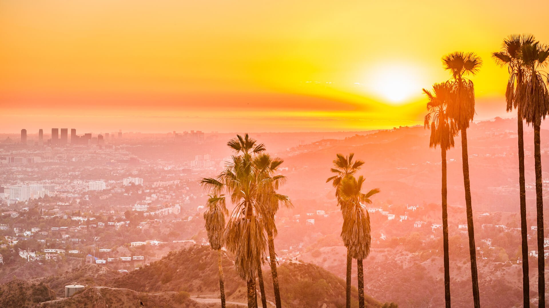 Griffith Park, Los Angeles, California, USA (medium1)