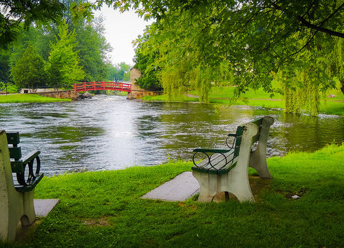 Lonley,Pair,Of,Benches,Beside,A,Tree,By,A,Flowing