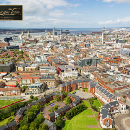 Is a Real Estate Agent Near Me Worth Hiring Today?