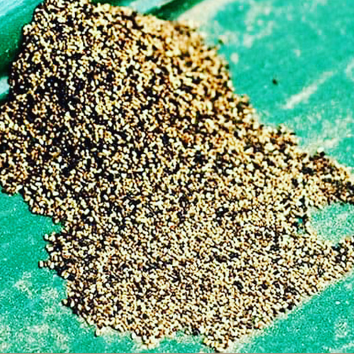 Signs of Termites in Your Home